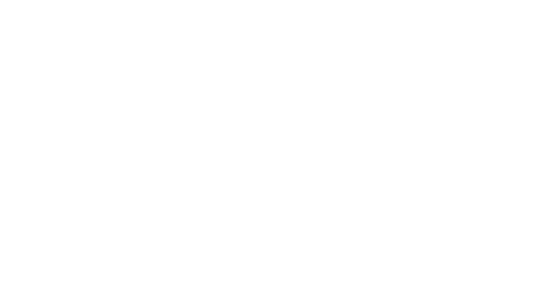 Fiubags