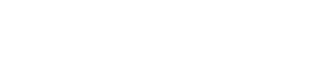 Fiubags Logo