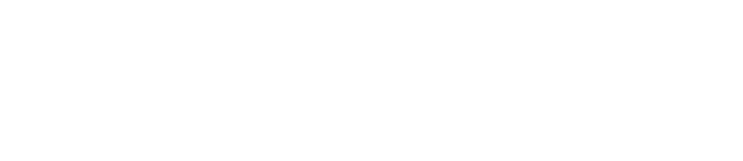Fiubags Logo