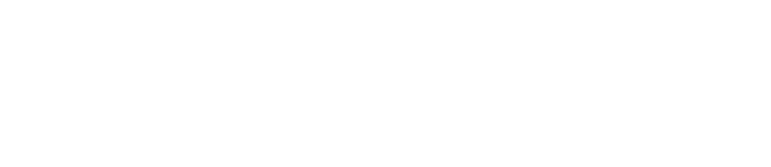 Fiubags Logo