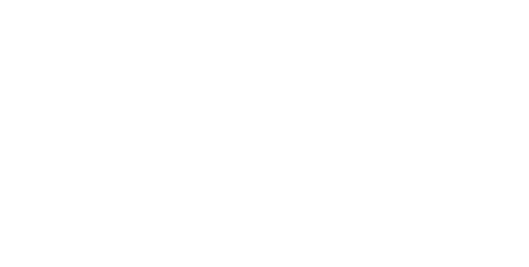 Fiubags Logo