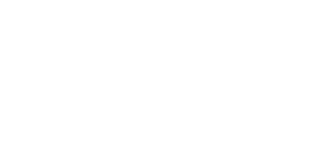 Fiubags Logo Blue