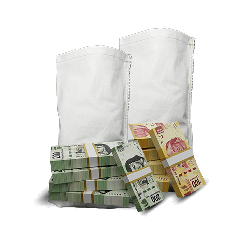 Bolsas de Dinero Fiubags